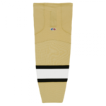 HS2100-281