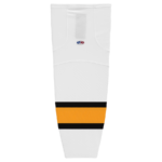 HS2100-301