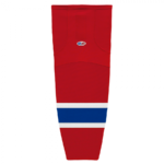 HS2100-308