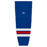 HS2100-312