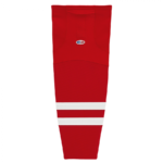 HS2100-527
