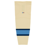 HS2100-545