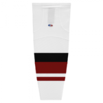 HS2100-583