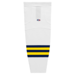 HS2100-591